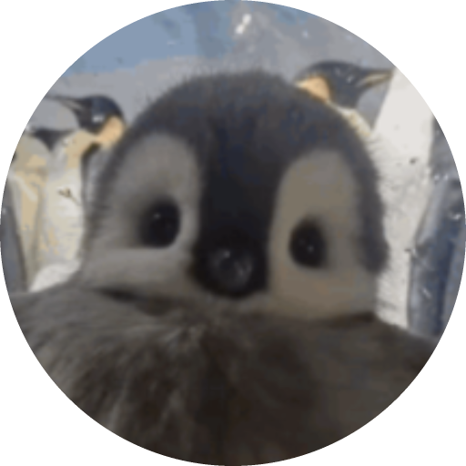 InnocentPenguin | Rocket League Customs & Tournaments